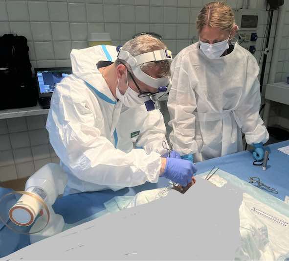 Il professor Nuzzolese durante un'autopsia odontoiatrica nell'ambito del corso di odontologia forense (immagine riservata del prof. Emilio Nuzzolese)
